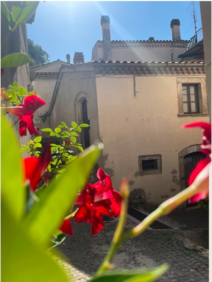 Via Garibaldi vista tra i fiori rossi di un balcone