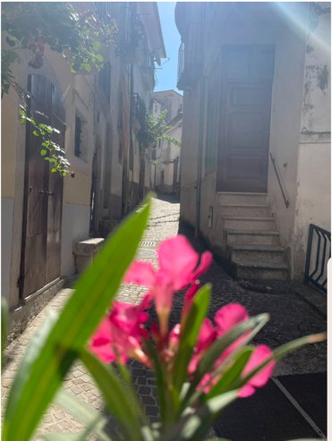 Via Vittorio Emanuele III a Pizzone, inquadrata tra gli oleandri rosa