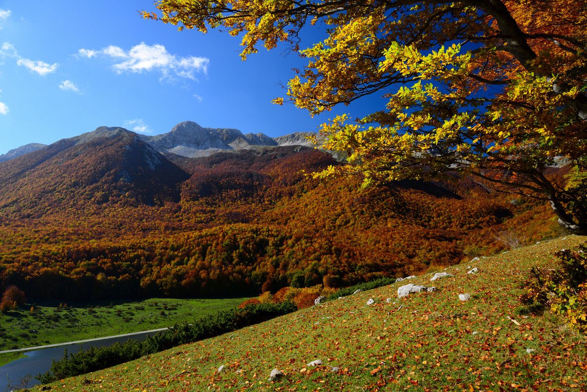 I boschi in autunno intorno a Pizzone