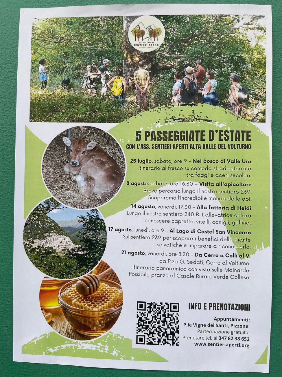 Locandina delle 5 passeggiate d'estate dell'associazione Sentieri Aperti Alta Valle del Volturno, con partenza da Pizzone